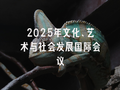 2025年文化、艺术与社会发展国际会议