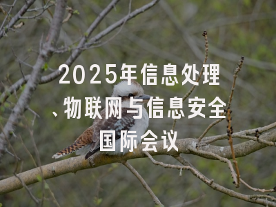 2025年信息处理、物联网与信息安全国际会议