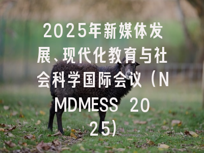 2025年新媒体发展、现代化教育与社会科学国际会议（NMDMESS 2025）