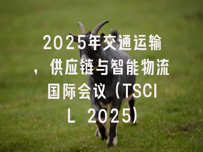 2025年交通运输，供应链与智能物流国际会议（TSCIL 2025）