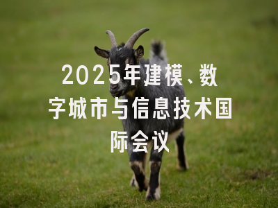 2025年建模、数字城市与信息技术国际会议