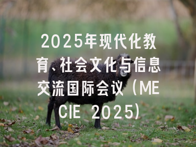 2025年现代化教育、社会文化与信息交流国际会议（MECIE 2025）
