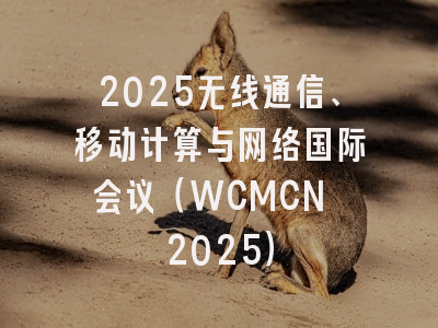 2025无线通信、移动计算与网络国际会议（WCMCN 2025）