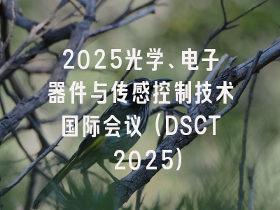2025光学、电子器件与传感控制技术国际会议（DSCT 2025）