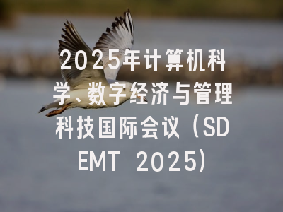 2025年计算机科学、数字经济与管理科技国际会议（SDEMT 2025）