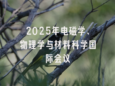 2025年电磁学、物理学与材料科学国际会议