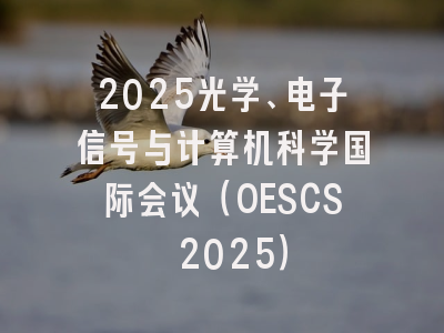 2025光学、电子信号与计算机科学国际会议（OESCS 2025）