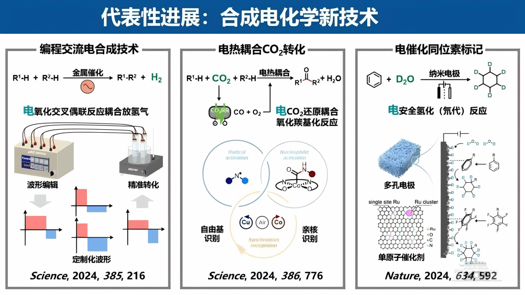 武汉大学我校两项目入选2024年度湖北十大科技进展