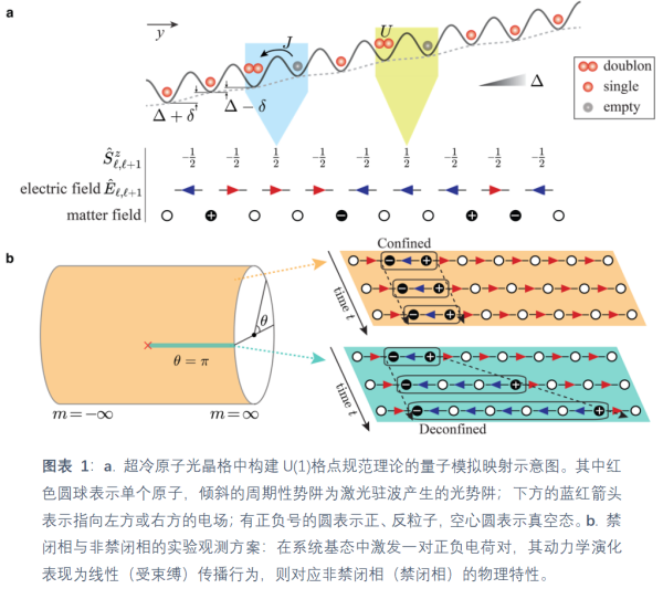 科学家使用量子模拟器观测规范理论中准粒子禁闭的微观动力学行为