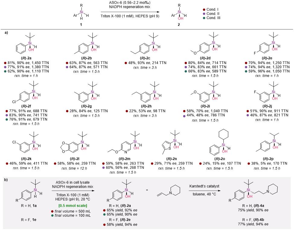 清华大学生物医学交叉研究院刘臻课题组合作开发基于硅烷转化的生物合成平台