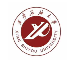第四届新能源技术创新与低碳发展国际研讨会（NET-LC 2025）
