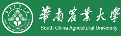 第九届土木建筑与结构工程国际学术会议（I3CSE 2025）