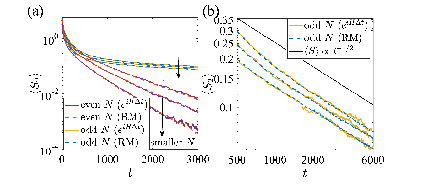 北京大学物理学院进藤龙一课题组与合作者发现描述存在测量的量子动力学的普适随机方程