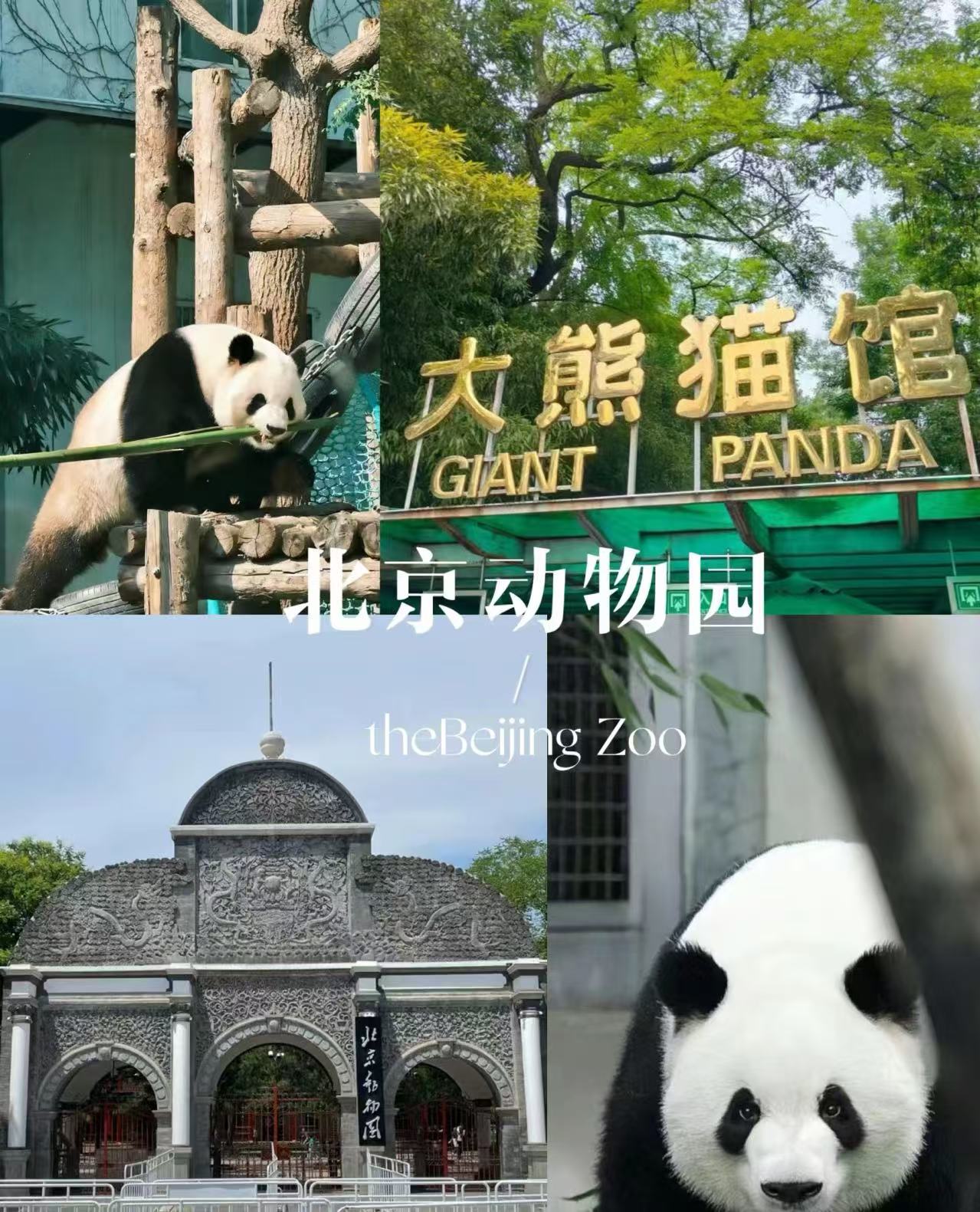 2025年人工智能与教育系统国际学术会议 (ICAIES 2025)