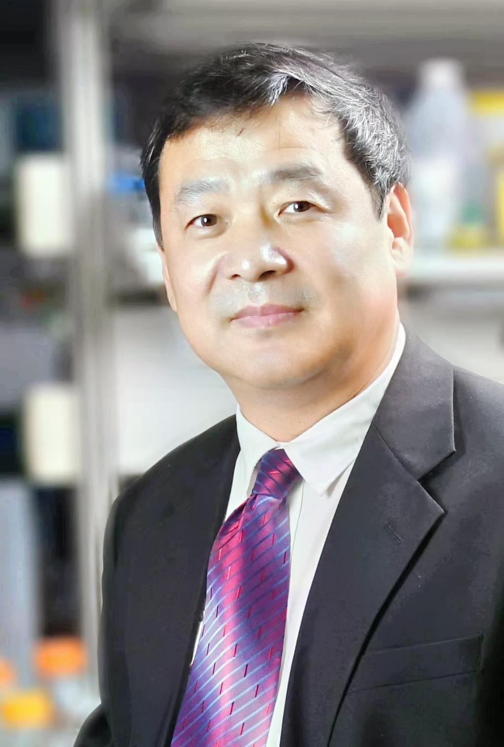 2025年生物信息学与计算生物学国际学术会议（ISBCB 2025）