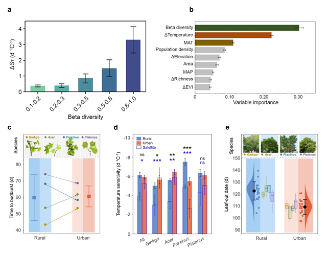 北京师范大学水科学研究院付永硕教授课题组在《自然·通讯》杂志发表论文揭示树种组成调控植被物候对变暖的响应