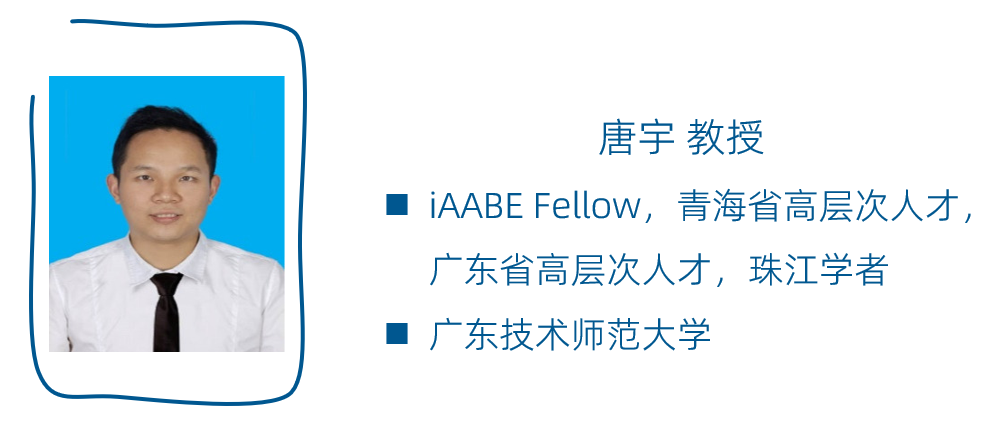 第二届电气技术与自动化工程国际学术会议 (ETAE 2025)