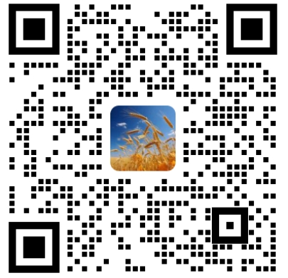 第七届信息科学、电气与自动化工程国际学术会议（ISEAE 2025）