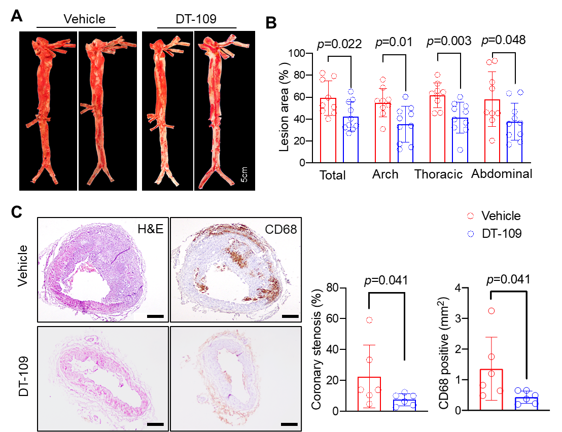 西安交大实验动物中心在动脉粥样硬化治疗研究中取得重要突破