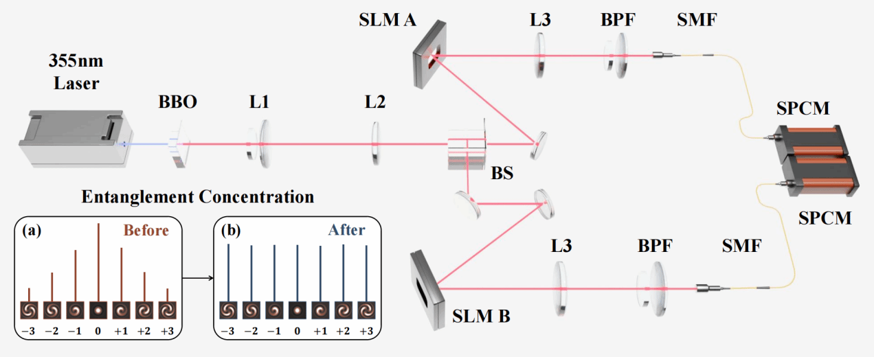 厦门大学陈理想教授团队在利用轨道角动量纠缠验证量子力学基本问题的实验研究取得新进展