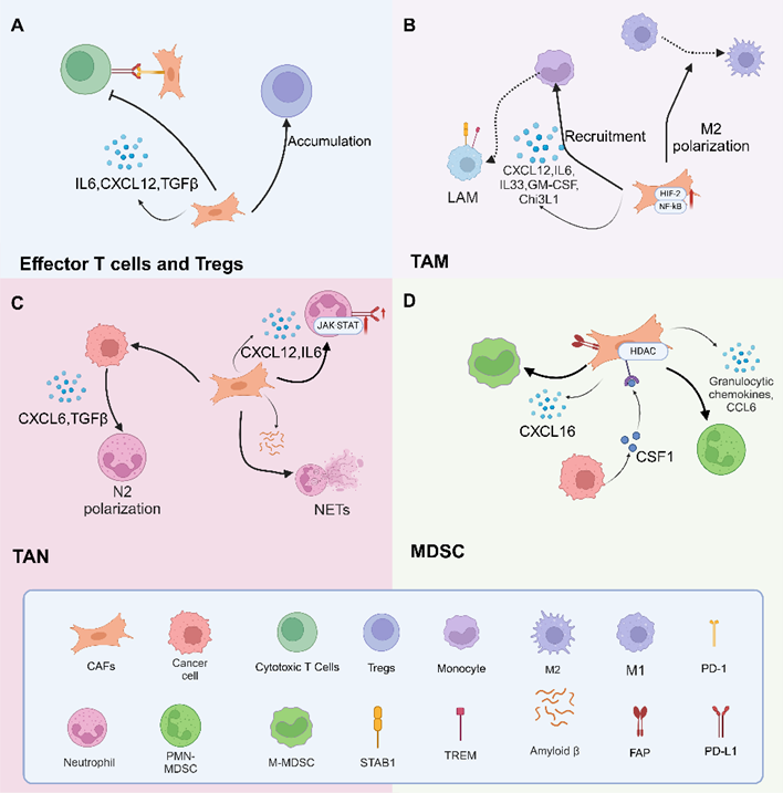 电子科技大学医学院陈梅华副研究员课题组在国际知名期刊Journal of Hematology & Oncology发表综述