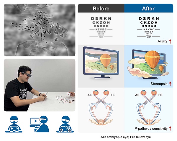 研究开发出增强成人视觉能力新方法
