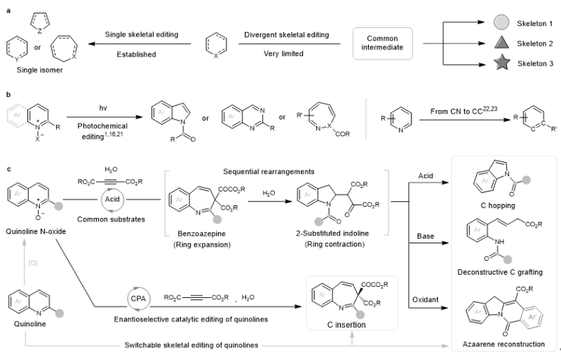 上海交大药学院吴华课题组Nature Chemistry发文发展多组分环化重排策略实现杂环骨架发散性编辑