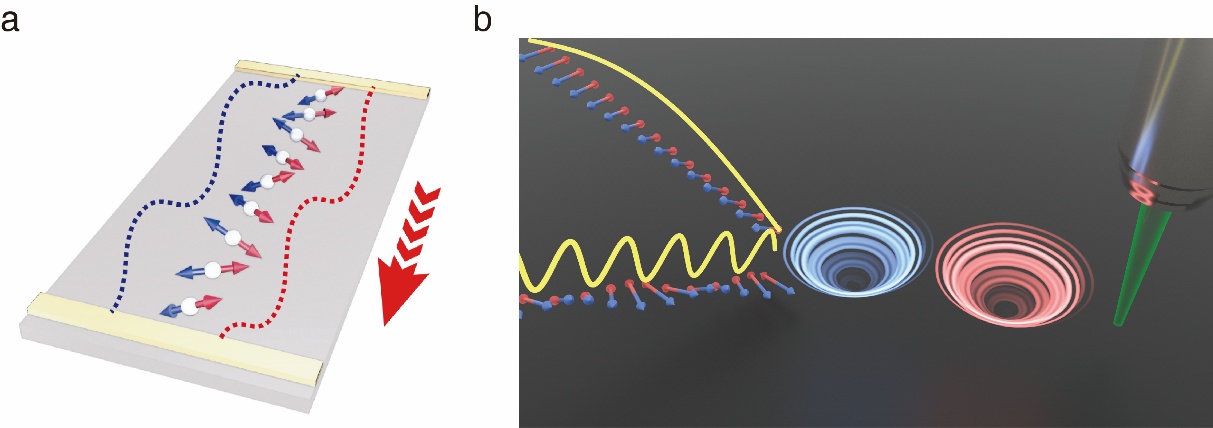 北京航空航天大学北航集成电路科学与工程学院在《Nature Physics》发表磁子学研究重要进展