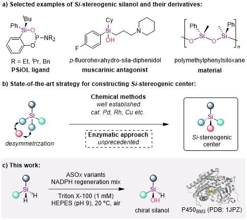 清华大学生物医学交叉研究院刘臻课题组合作开发基于硅烷转化的生物合成平台
