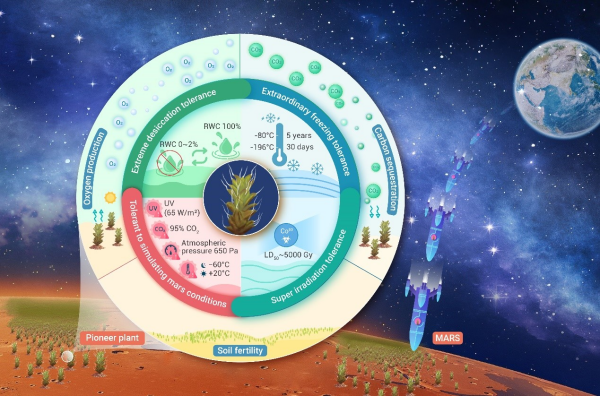 新疆生地所发现沙漠苔藓齿肋赤藓极端生存能力