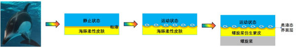 宁波材料所等研发螺旋桨仿生蒙皮材料 助力超大型油轮节能增效