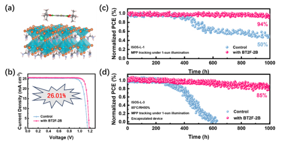 反式钙钛矿太阳能电池研究获进展