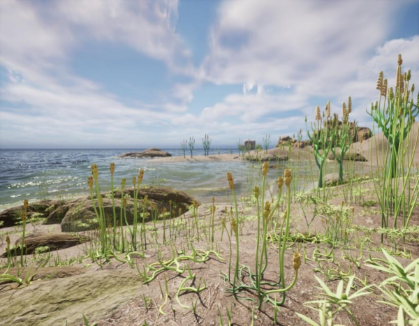 迄今最小工蕨属植物揭示工蕨类的生活史策略分化