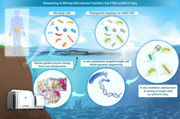 科学家开发出物种-代谢双靶向的微生物细胞及酶资源挖掘新技术