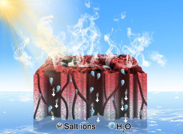 科研人员开发出具有分级结构的双网络水凝胶 实现高蒸发速率和超耐盐性