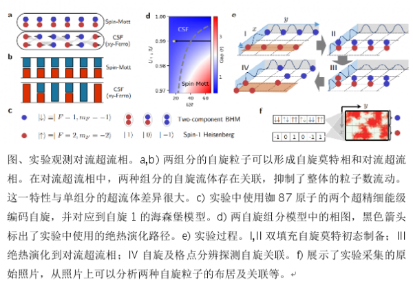 科学家首次观测到超冷原子气体中的对流超流相
