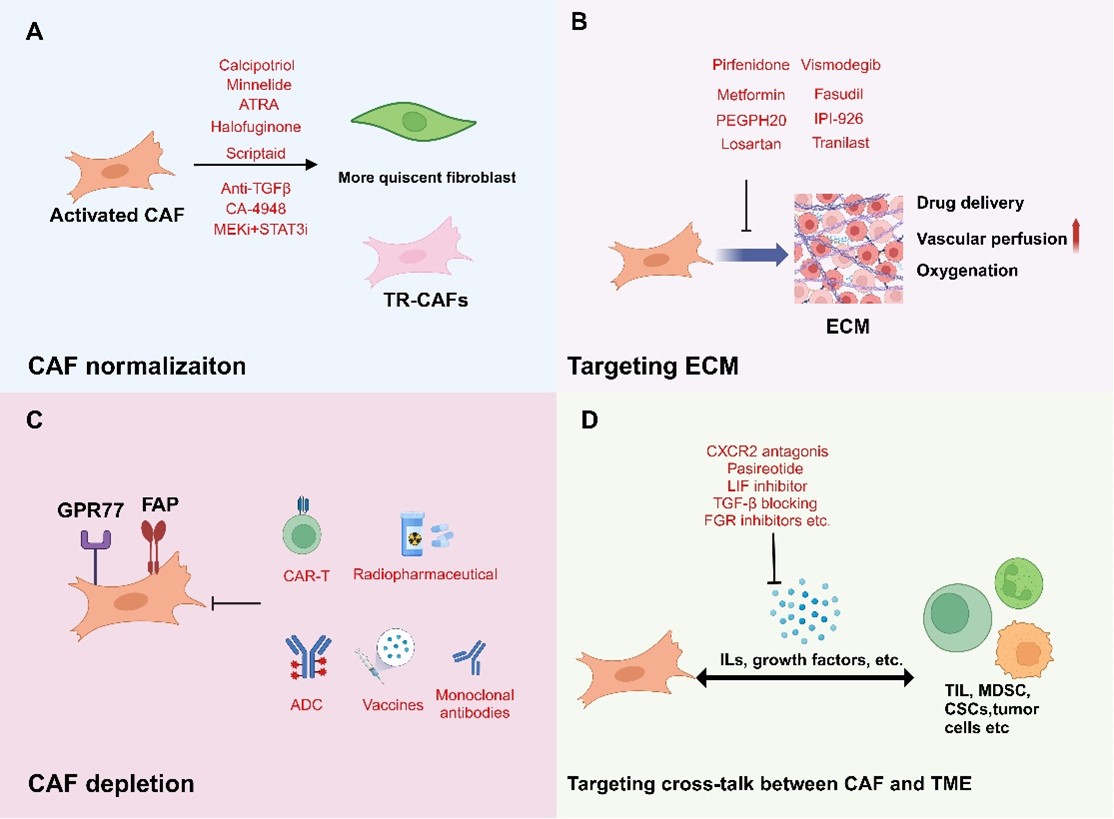 电子科技大学医学院陈梅华副研究员课题组在国际知名期刊Journal of Hematology & Oncology发表综述