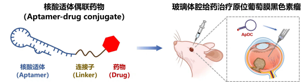 自主创新药研究获国际机构认定 有望助力罕见病治疗