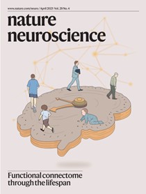 北京师范大学北师大心理学部认知神经科学与学习国家重点实验室贺永课题组及合作者创建人类全生命周期脑功能连接组发育图谱与参考标准