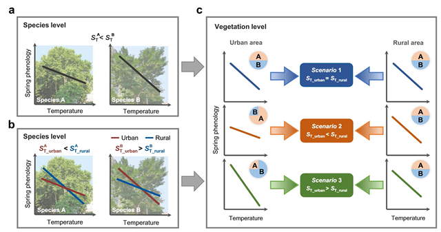 北京师范大学水科学研究院付永硕教授课题组在《自然·通讯》杂志发表论文揭示树种组成调控植被物候对变暖的响应