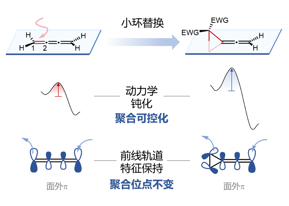 北京大学化学学院朱戎课题组报道类累三烯催化可控聚合新进展