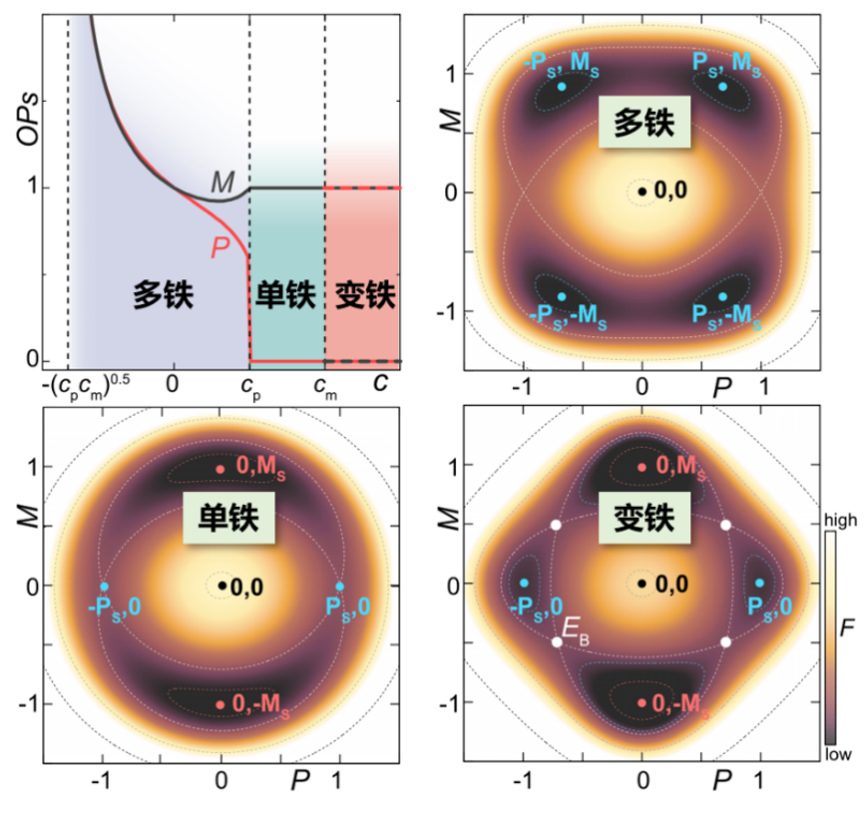 东南大学董帅教授、张骏杰副研究员团队在变铁性物理方面取得进展