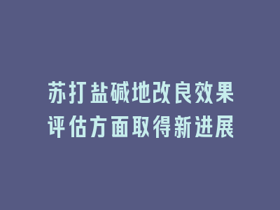 苏打盐碱地改良效果评估方面取得新进展