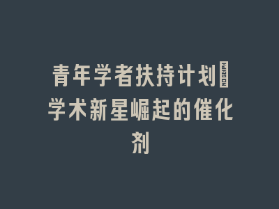 青年学者扶持计划｜学术新星崛起的催化剂