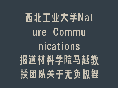 西北工业大学Nature Communications报道材料学院马越教授团队关于无负极锂金属电池的重要进展