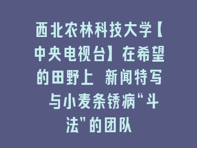 西北农林科技大学【中央电视台】在希望的田野上 新闻特写 与小麦条锈病“斗法”的团队