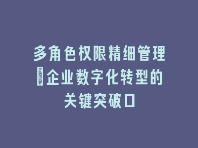 多角色权限精细管理：企业数字化转型的关键突破口