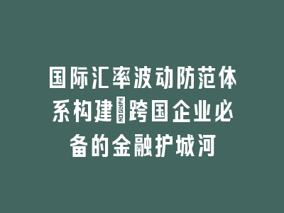 国际汇率波动防范体系构建_跨国企业必备的金融护城河