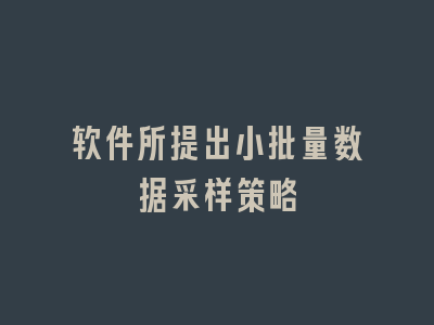 软件所提出小批量数据采样策略