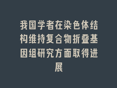 我国学者在染色体结构维持复合物折叠基因组研究方面取得进展